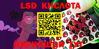 крисы Новодвинск
