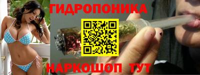 крисы Новодвинск