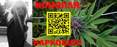 индика Новокубанск