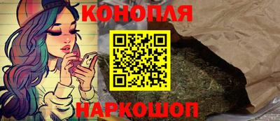 крисы Новодвинск