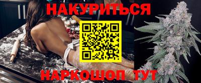 крисы Новодвинск