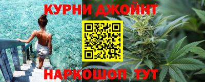 индика Новокубанск